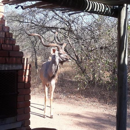 Eagle'S Crest Marloth Park Exterior foto