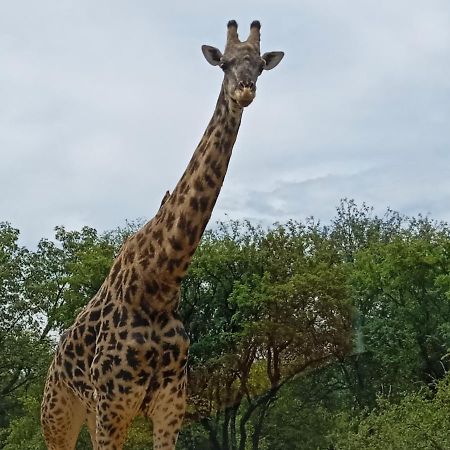Eagle'S Crest Marloth Park Exterior foto
