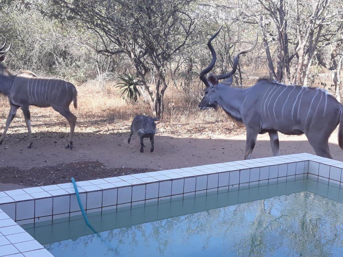 Eagle'S Crest Marloth Park Exterior foto