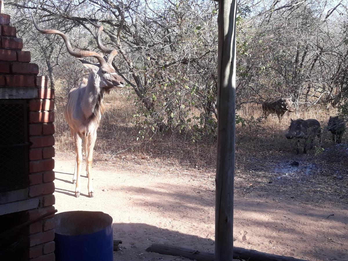 Eagle'S Crest Marloth Park Exterior foto