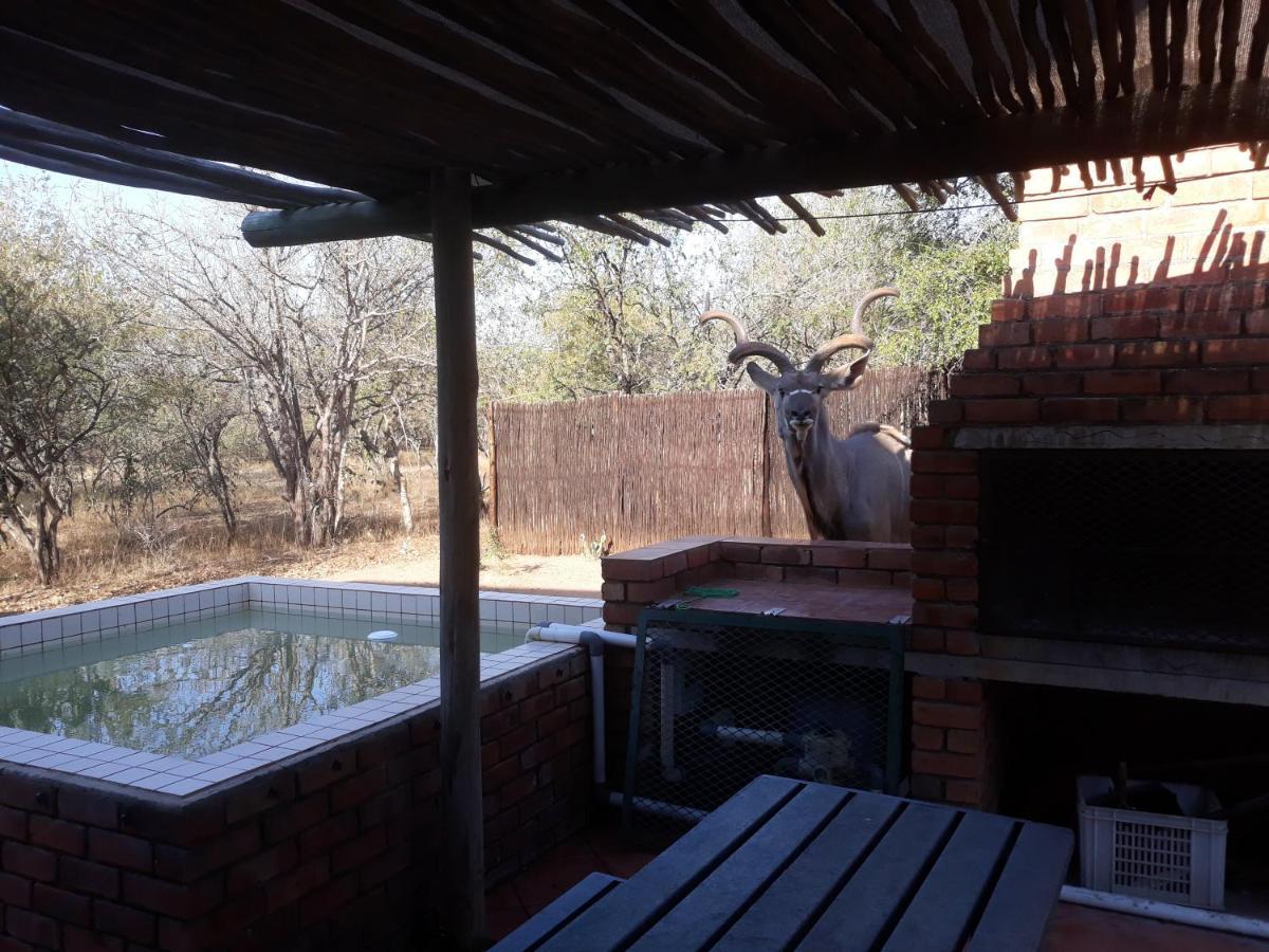 Eagle'S Crest Marloth Park Exterior foto