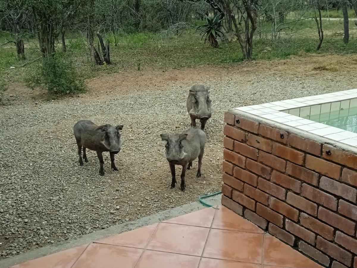Eagle'S Crest Marloth Park Exterior foto