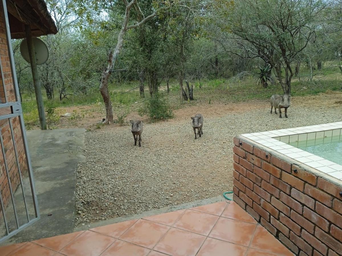 Eagle'S Crest Marloth Park Exterior foto