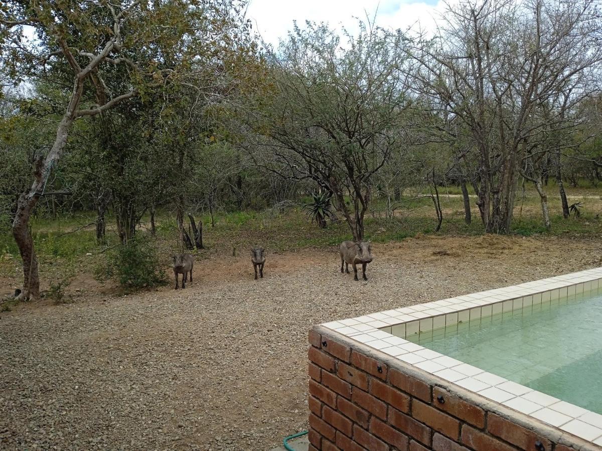 Eagle'S Crest Marloth Park Exterior foto