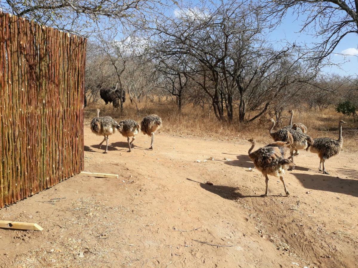Eagle'S Crest Marloth Park Exterior foto