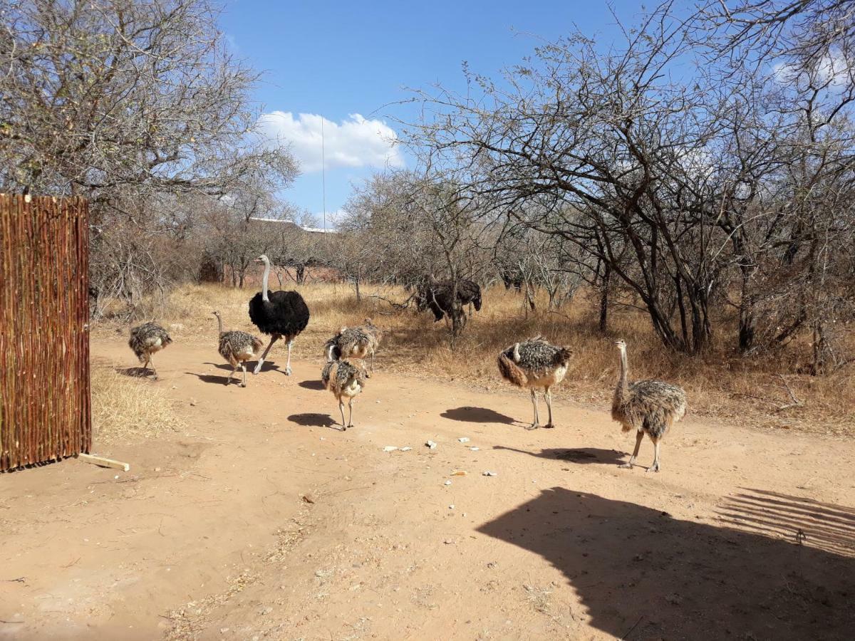 Eagle'S Crest Marloth Park Exterior foto